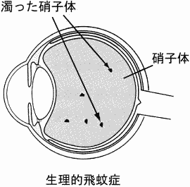 生理的ひぶんしょう